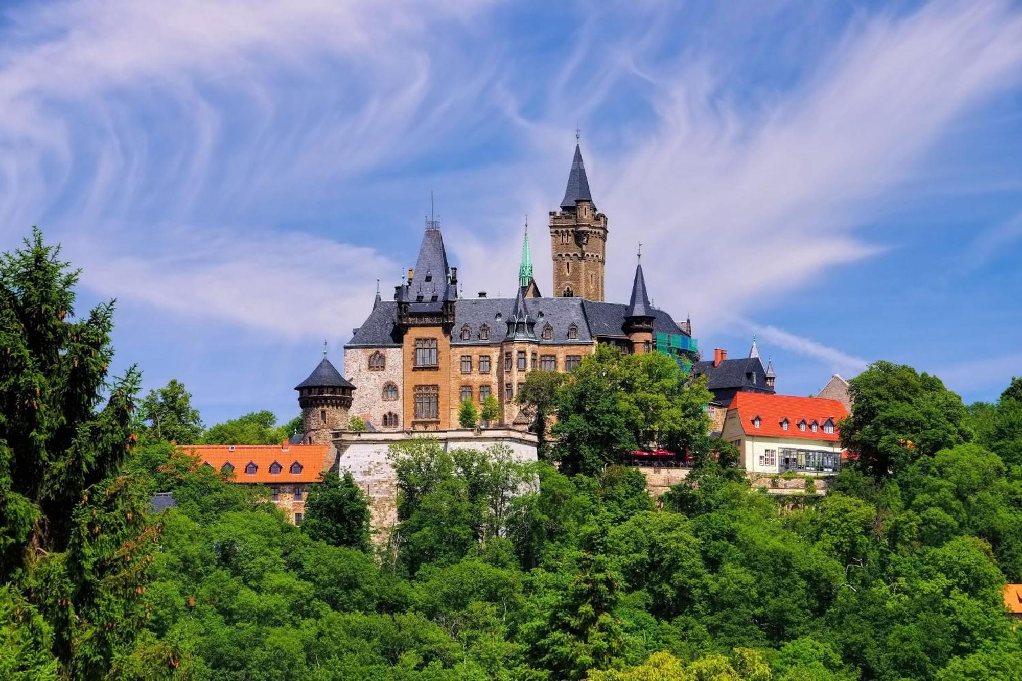 Apartmán Fewo Rubezahl Mit Kamin Bad Harzburg Exteriér fotografie